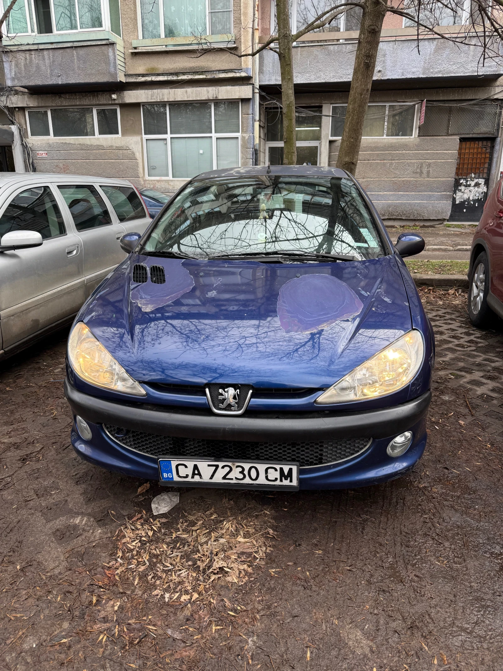 Peugeot 206
