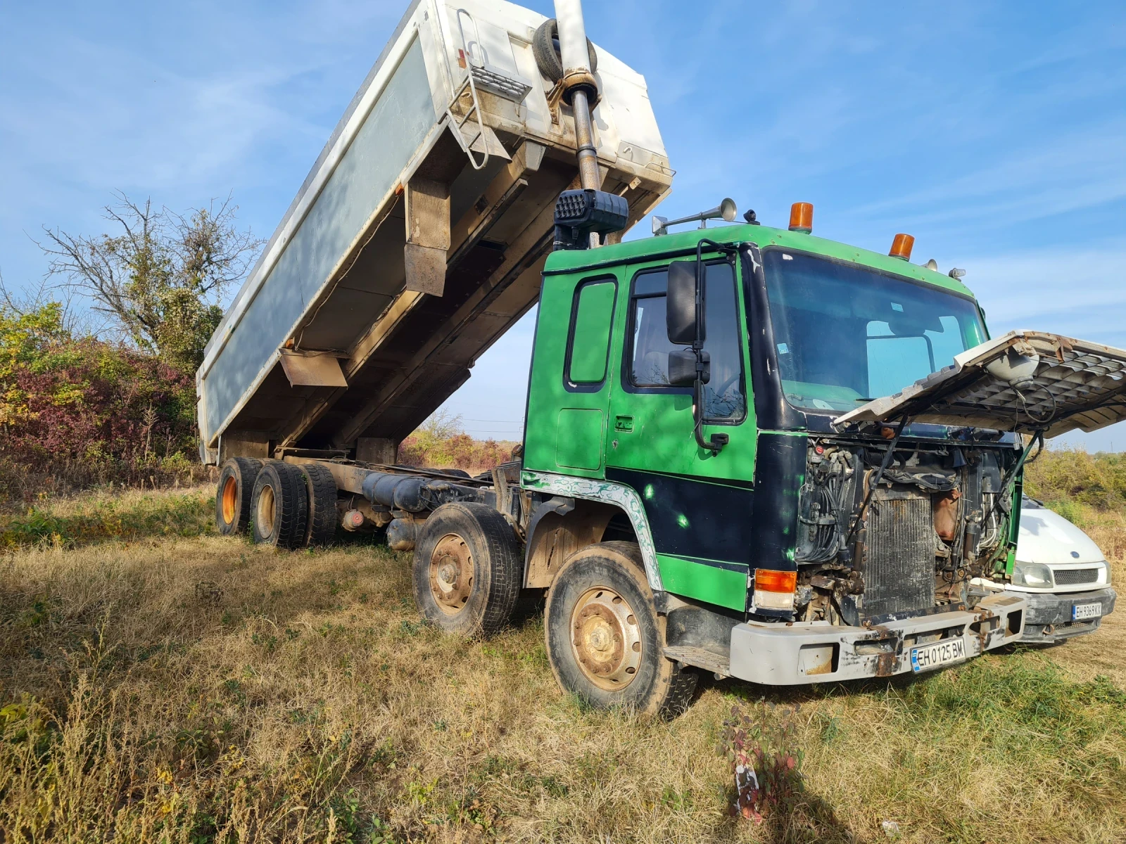 Volvo F  - изображение 3