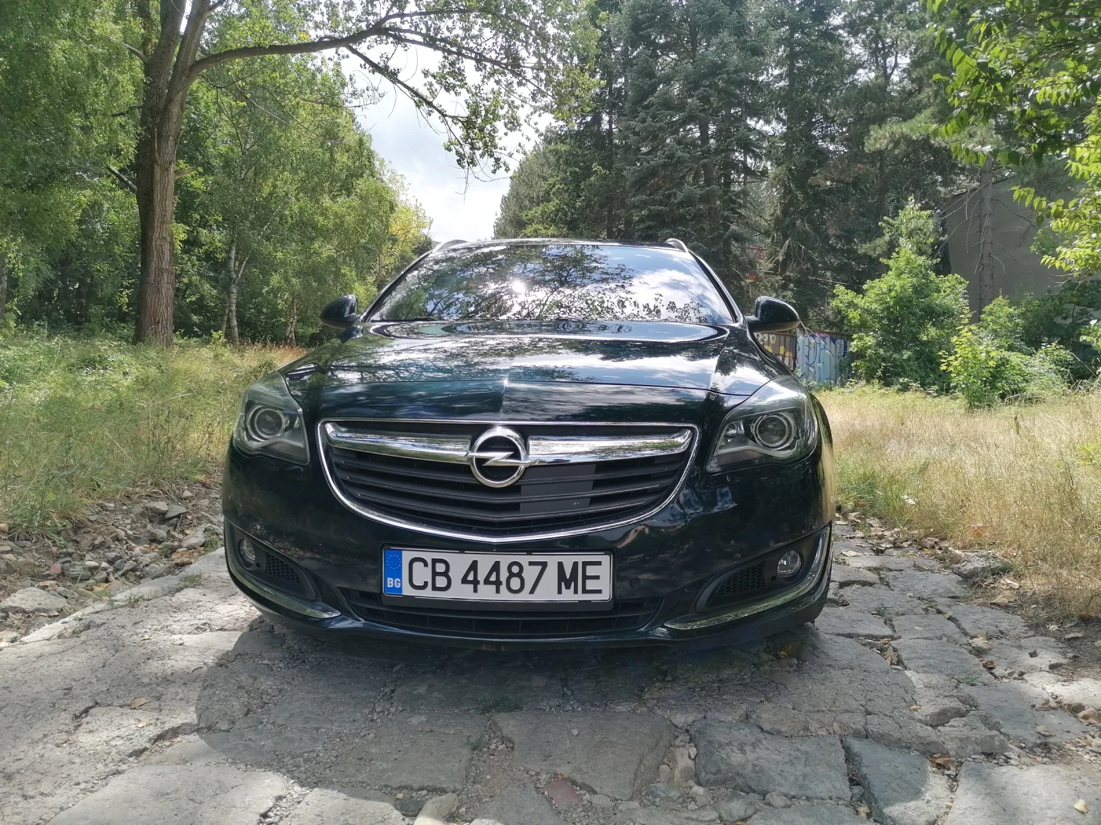 Opel Insignia 4х4 газ-бензин - изображение 2