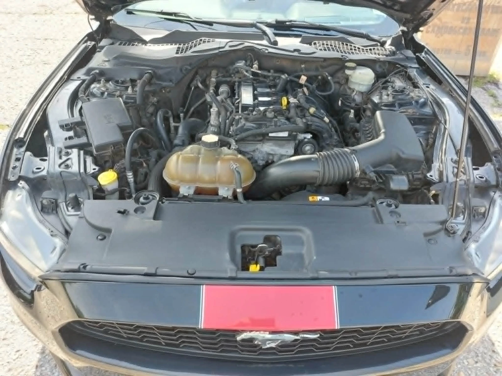 Ford Mustang, снимка 11 - Автомобили и джипове - 55192746