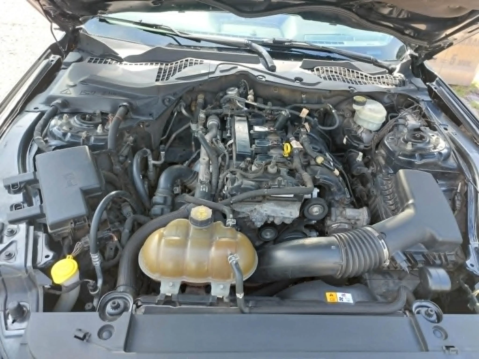 Ford Mustang, снимка 13 - Автомобили и джипове - 55192746