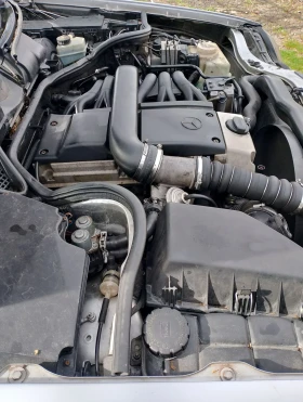 Mercedes-Benz E 250 W210 E250D, снимка 17