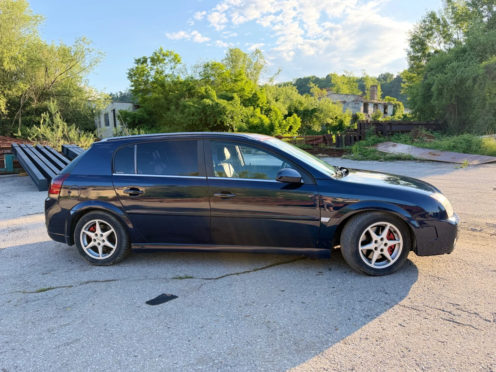 Opel Signum 3.0 CDTi V6, снимка 7 - Автомобили и джипове - 54811864