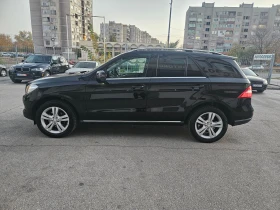 Mercedes-Benz ML 350 CDI-BlueTEC-4MATIC (258 Hp), снимка 2