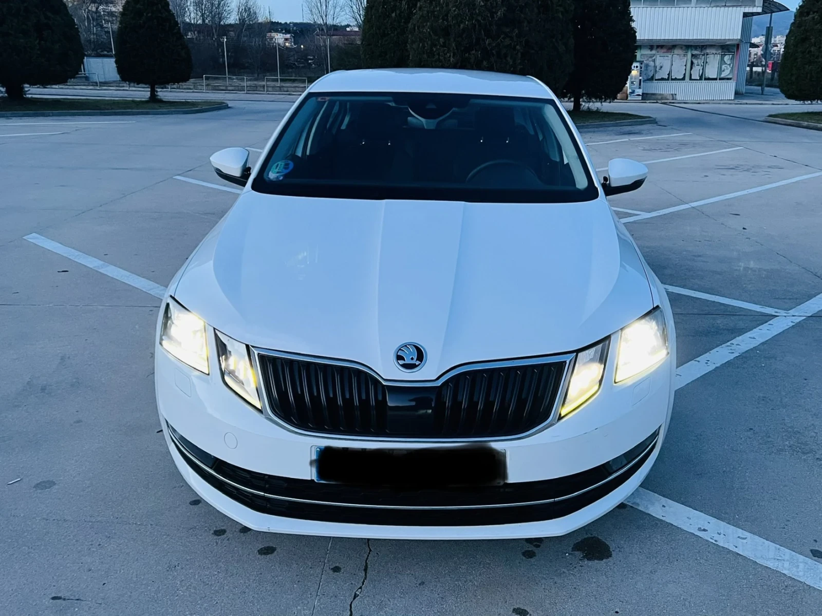 Skoda Octavia 2.0 150 автомат лед - изображение 2