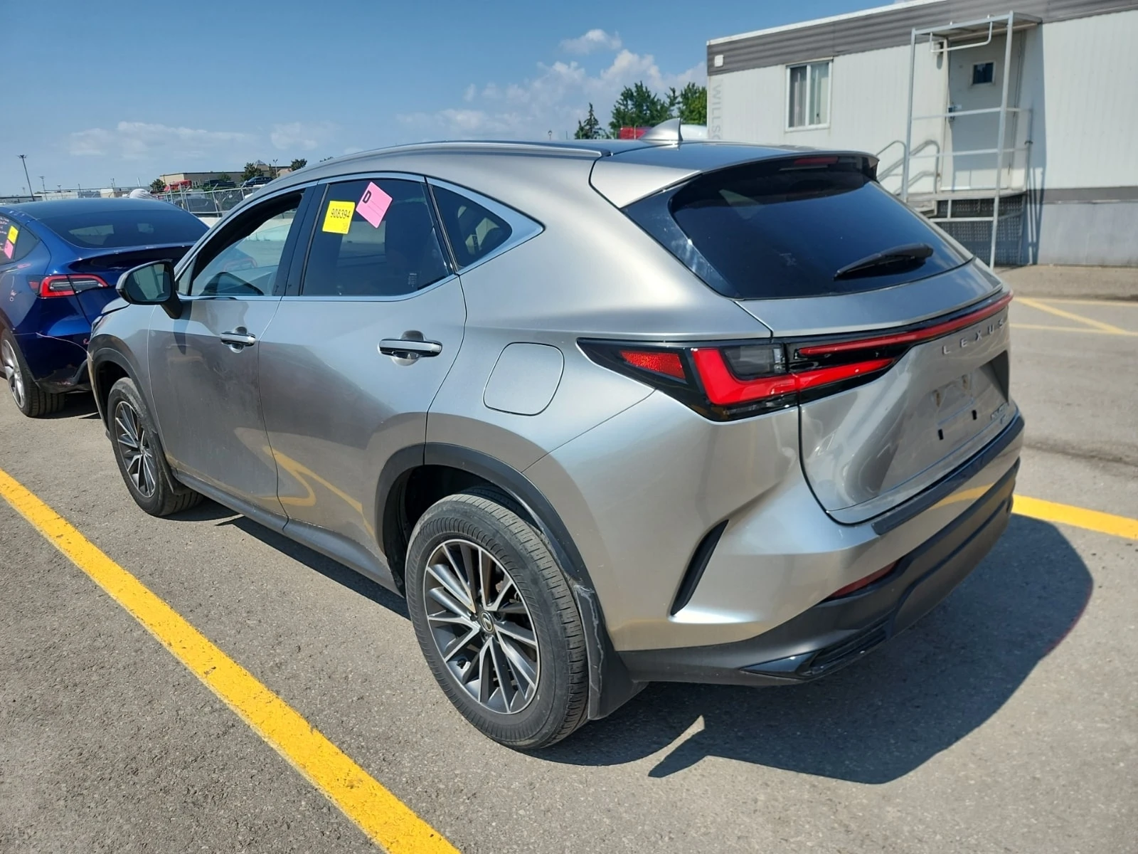 Lexus NX 450 450H+ / CARFAX / ОБДУХВАНЕ / ПАНОРАМА / АВТОКРЕДИТ, снимка 4 - Автомобили и джипове - 55951723