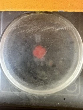 Компресори Atlas Copco, снимка 15