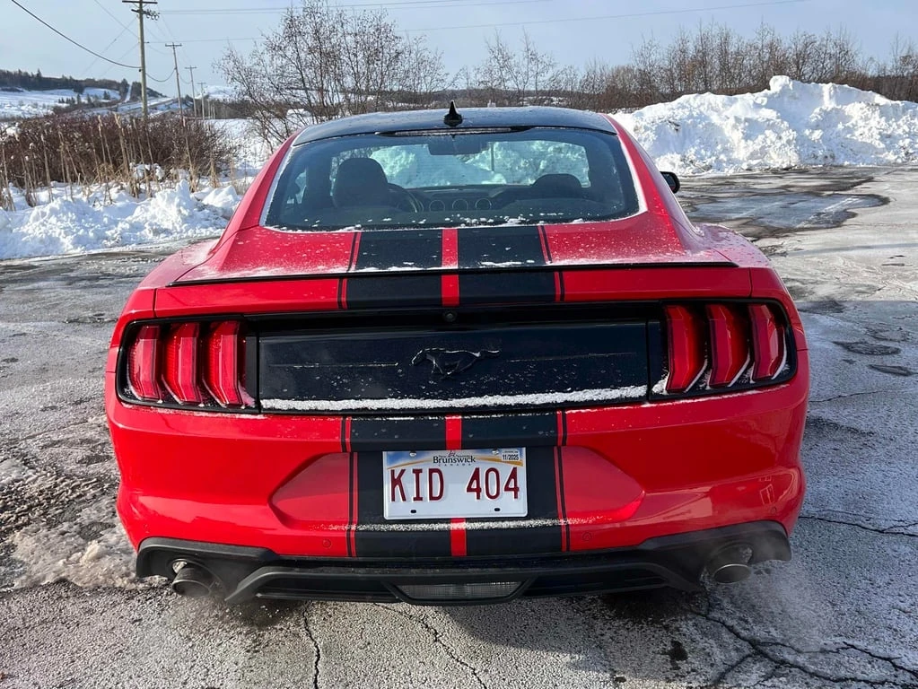 Ford Mustang * ECOBOOST * CARFAX * ��� ������������ ������ | Mobile.bg � ����������� 5