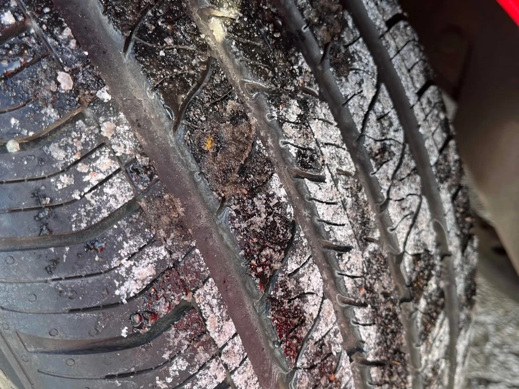 Ford Mustang * ECOBOOST * CARFAX * ��� ������������ ������ | Mobile.bg � ����������� 12