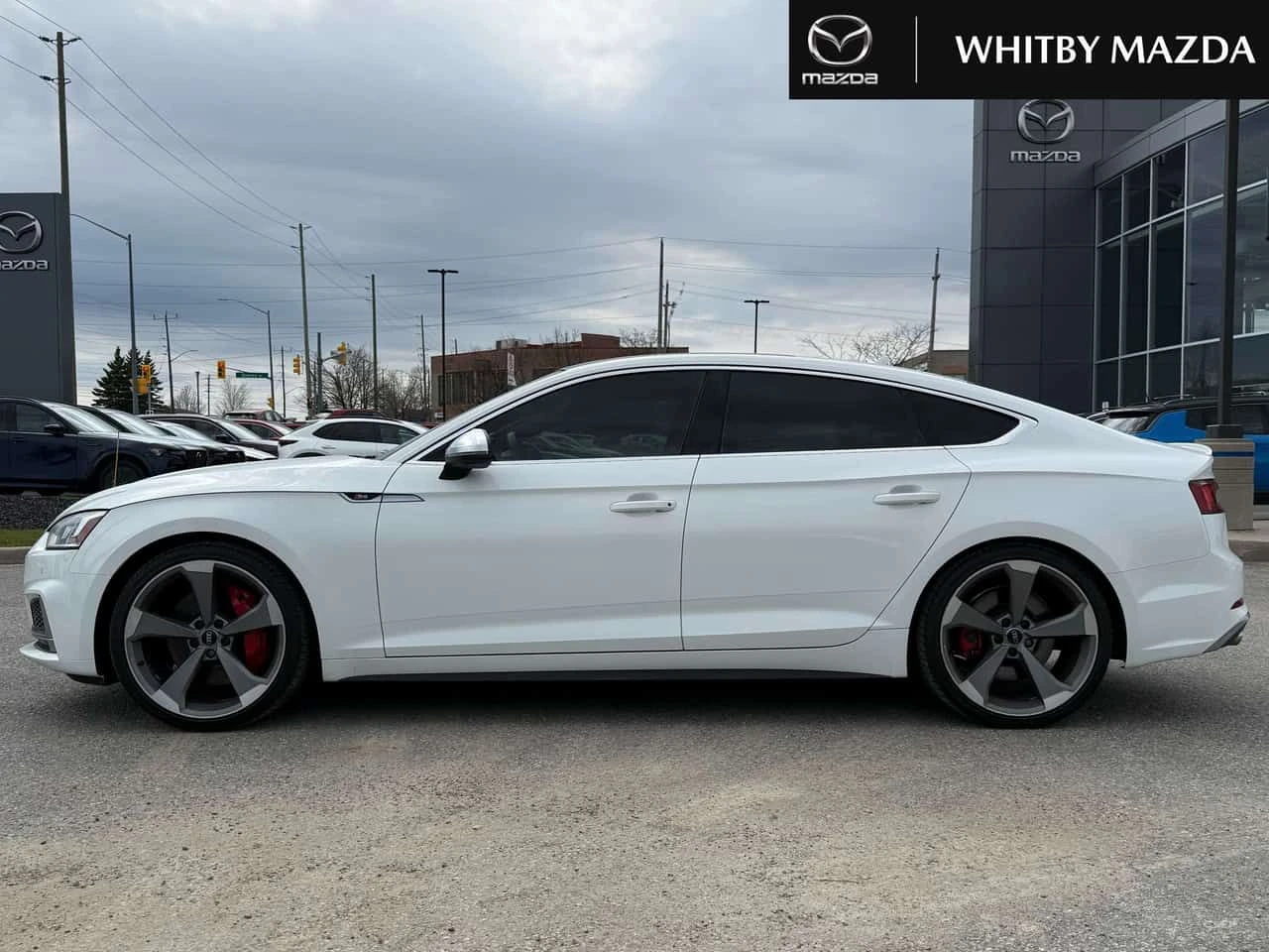 Audi S5 quattro Prestige 360 B&O  CARFAX, снимка 3 - Автомобили и джипове - 54563577