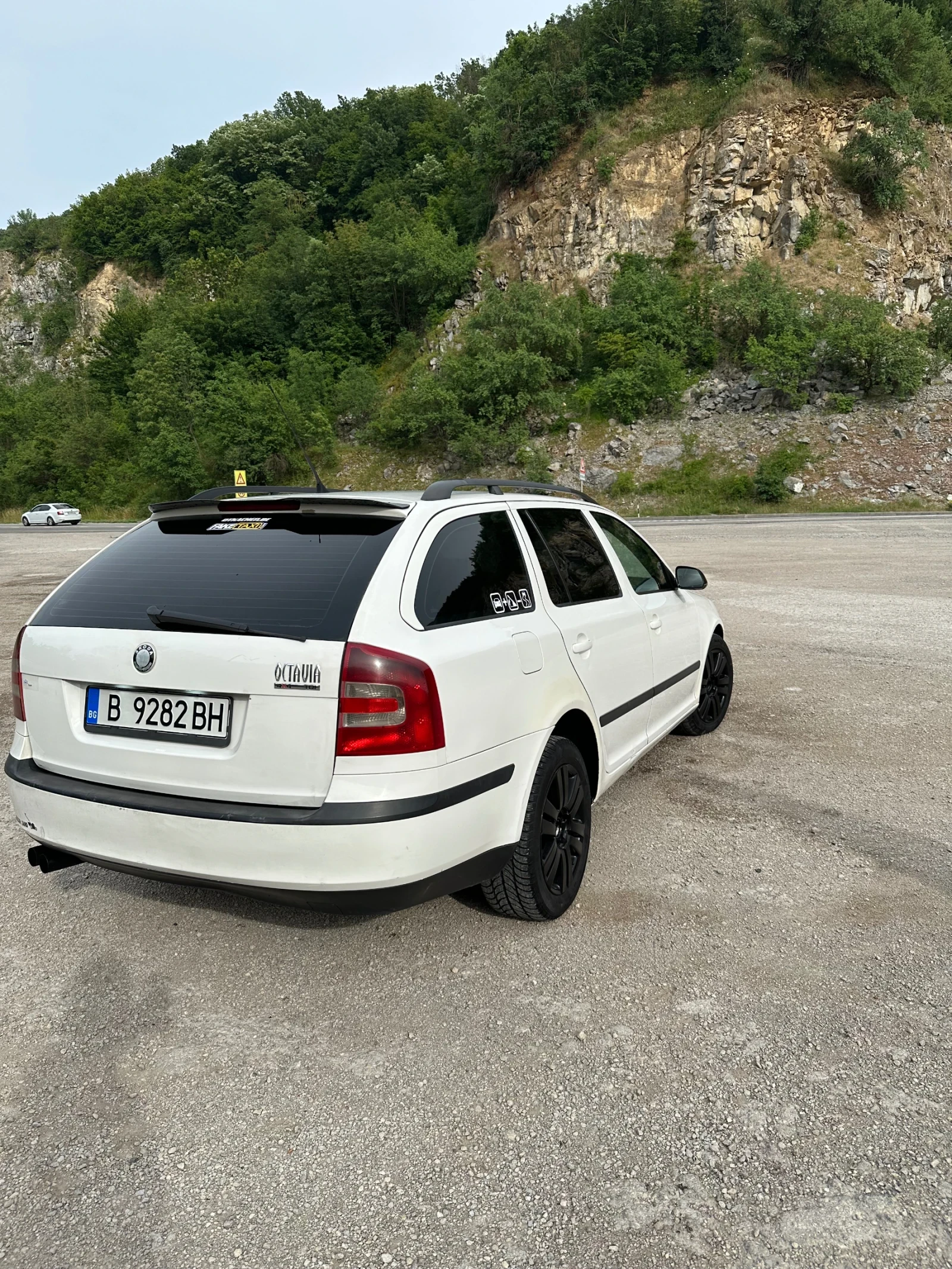 Skoda Octavia, снимка 3 - Автомобили и джипове - 54959892