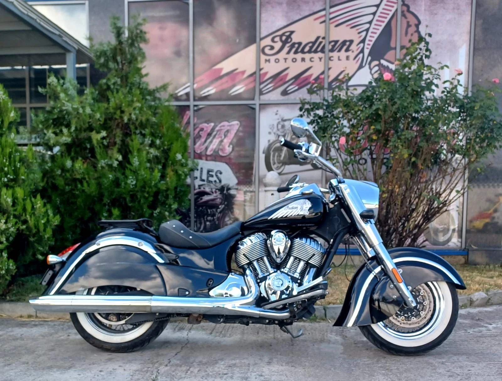 Indian Chief