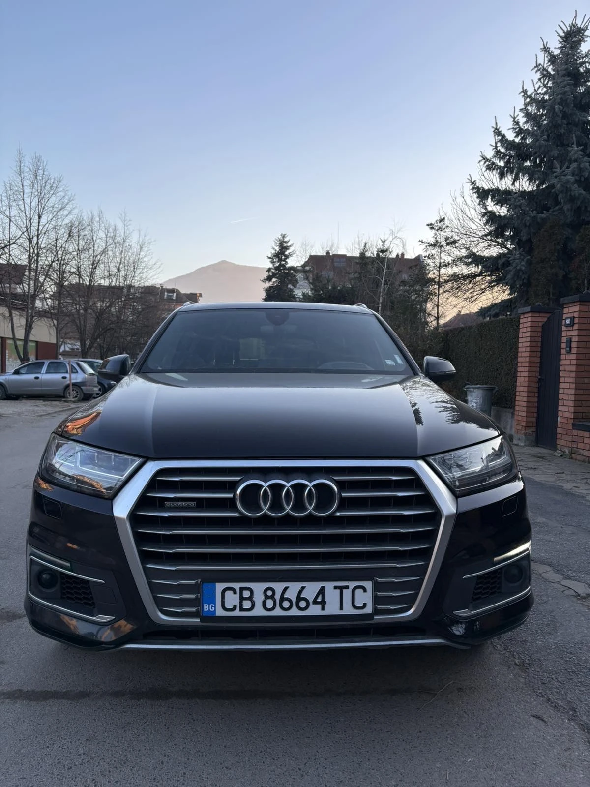 Audi Q7, снимка 7 - Автомобили и джипове - 53872126