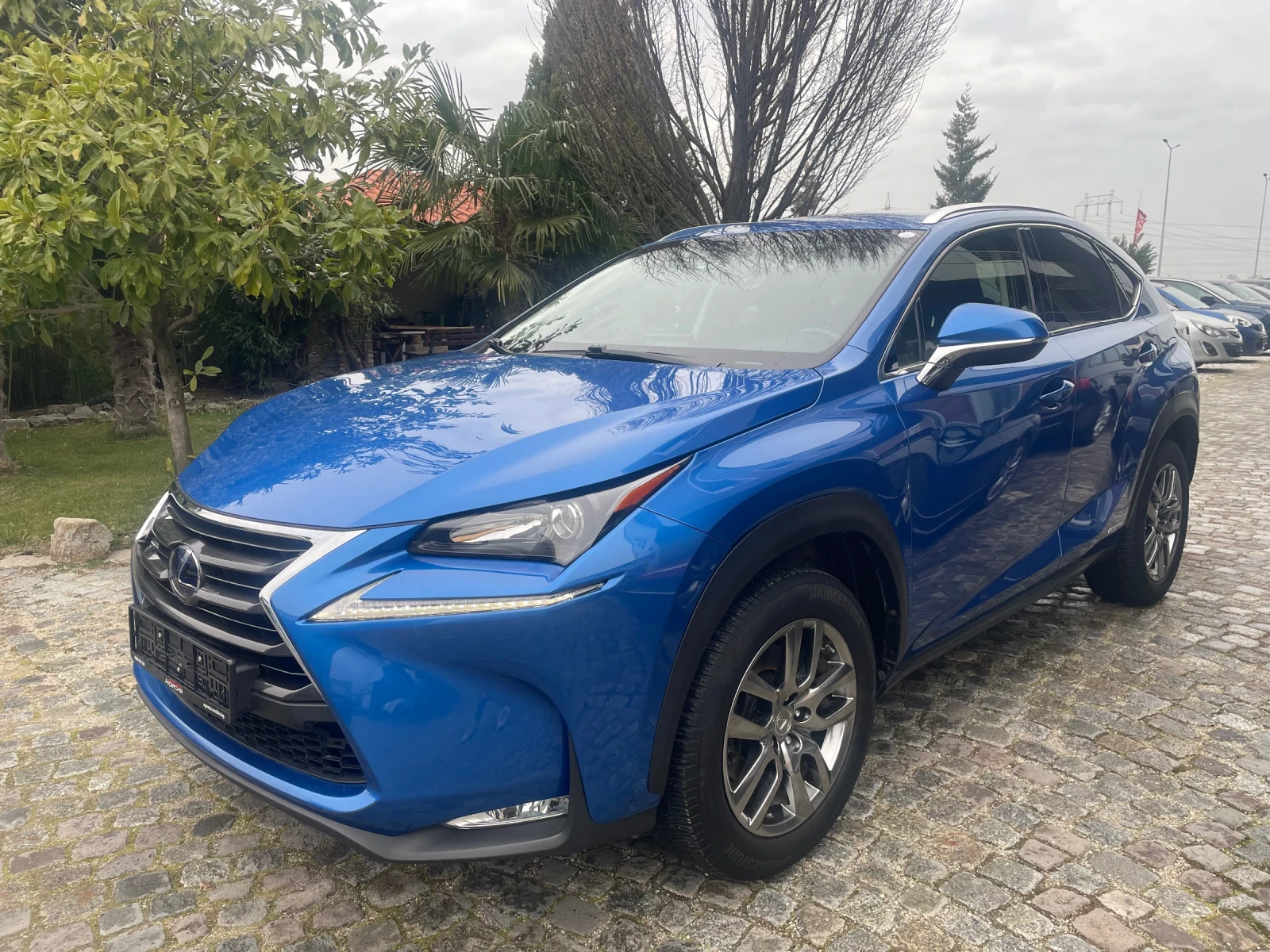 Lexus NX 300h Executive 4x4 130 000км