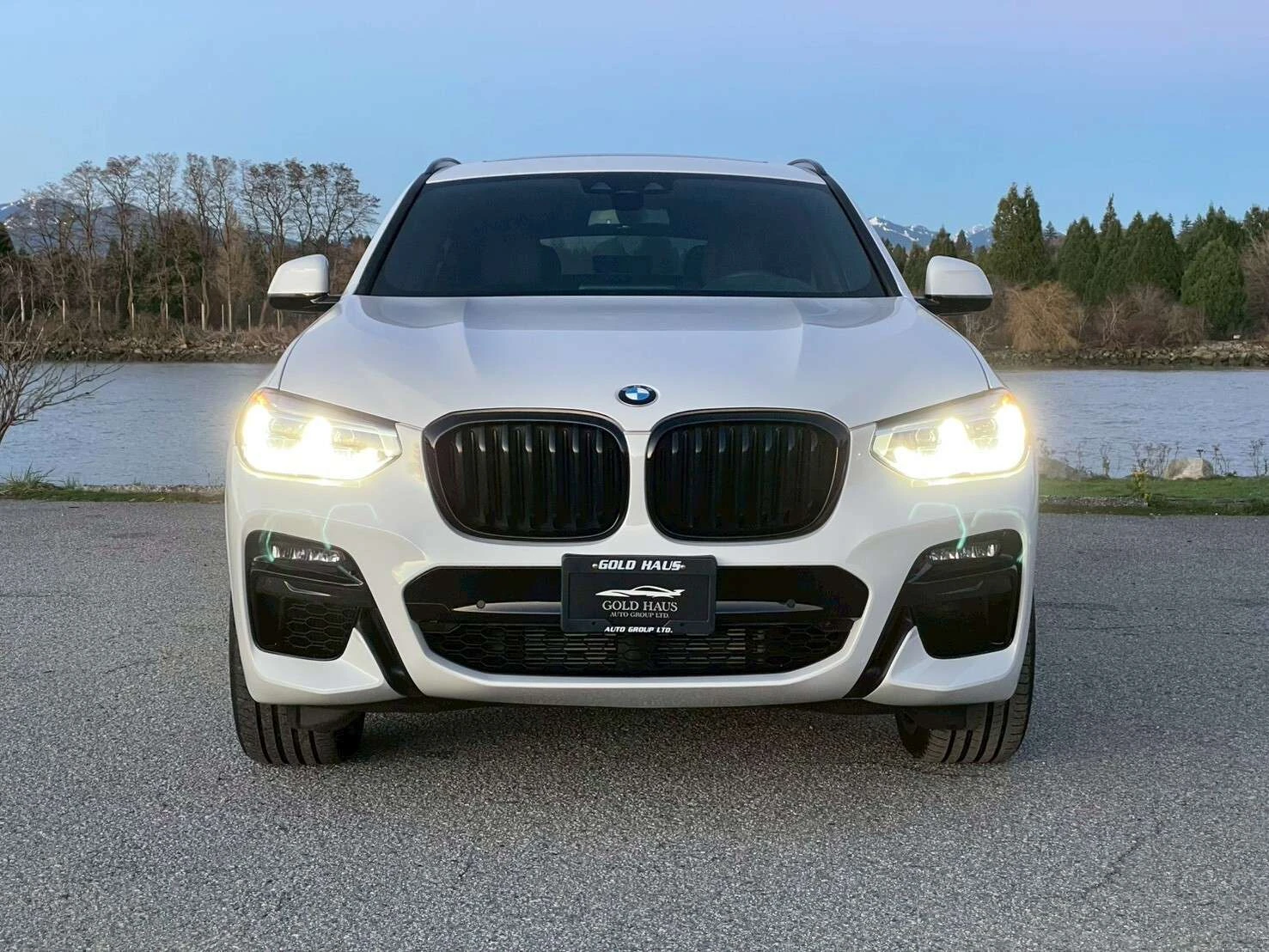 BMW X4 M40i Sports Activity Coupe, снимка 2 - Автомобили и джипове - 54340669