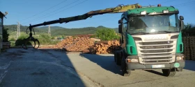     Scania G 480 66  