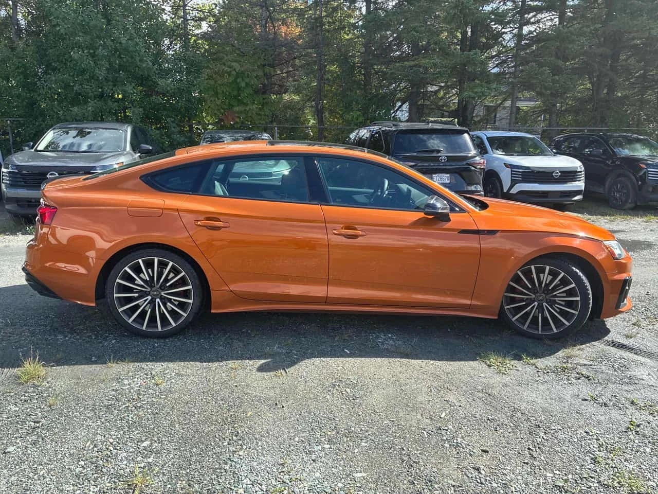 Audi A5 * Progressiv * CARFAX * БЕЗ ПЪРВОНАЧАЛНА ВНОСКА, снимка 3 - Автомобили и джипове - 56168762