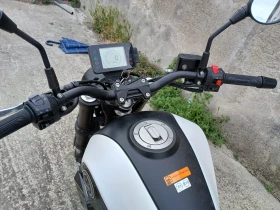 Benelli 250 Leoncino ABS - A2 ���. 2023! | Mobile.bg � ����� ������ 6