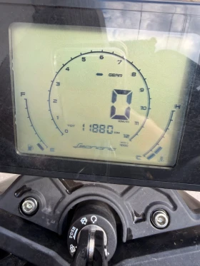 Benelli 250 Leoncino ABS - A2 ���. 2023! | Mobile.bg � ����� ������ 7
