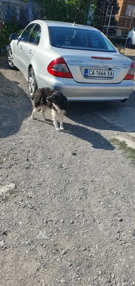 Mercedes-Benz E 320, снимка 3