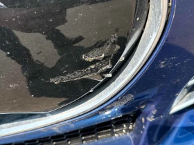 Tesla Model S 85D CARFAX АВТО КРЕДИТ - 25300 лв. - 56476459 11