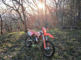 Beta Rr X-Trainer 300, снимка 1