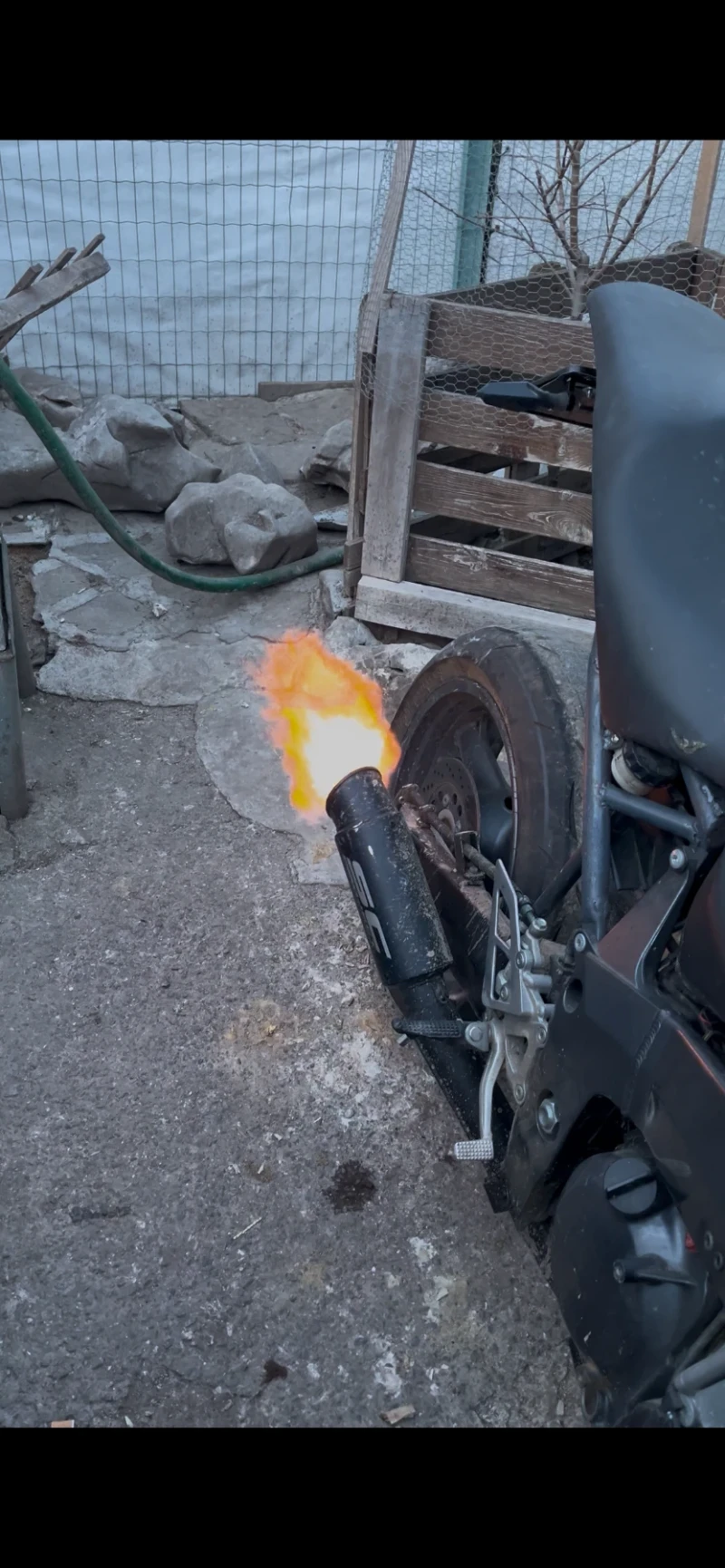 Kawasaki Ninja, снимка 4 - Мотоциклети и мототехника - 53435950