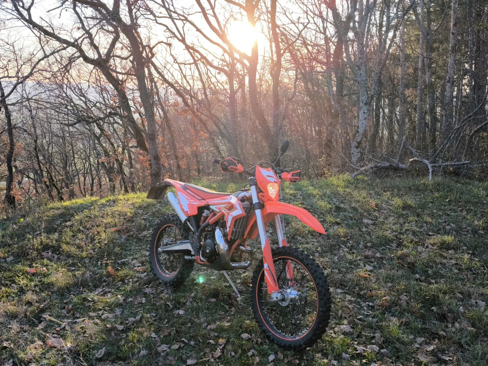 Beta Rr X-Trainer 300 | Mobile.bg � ����������� 1