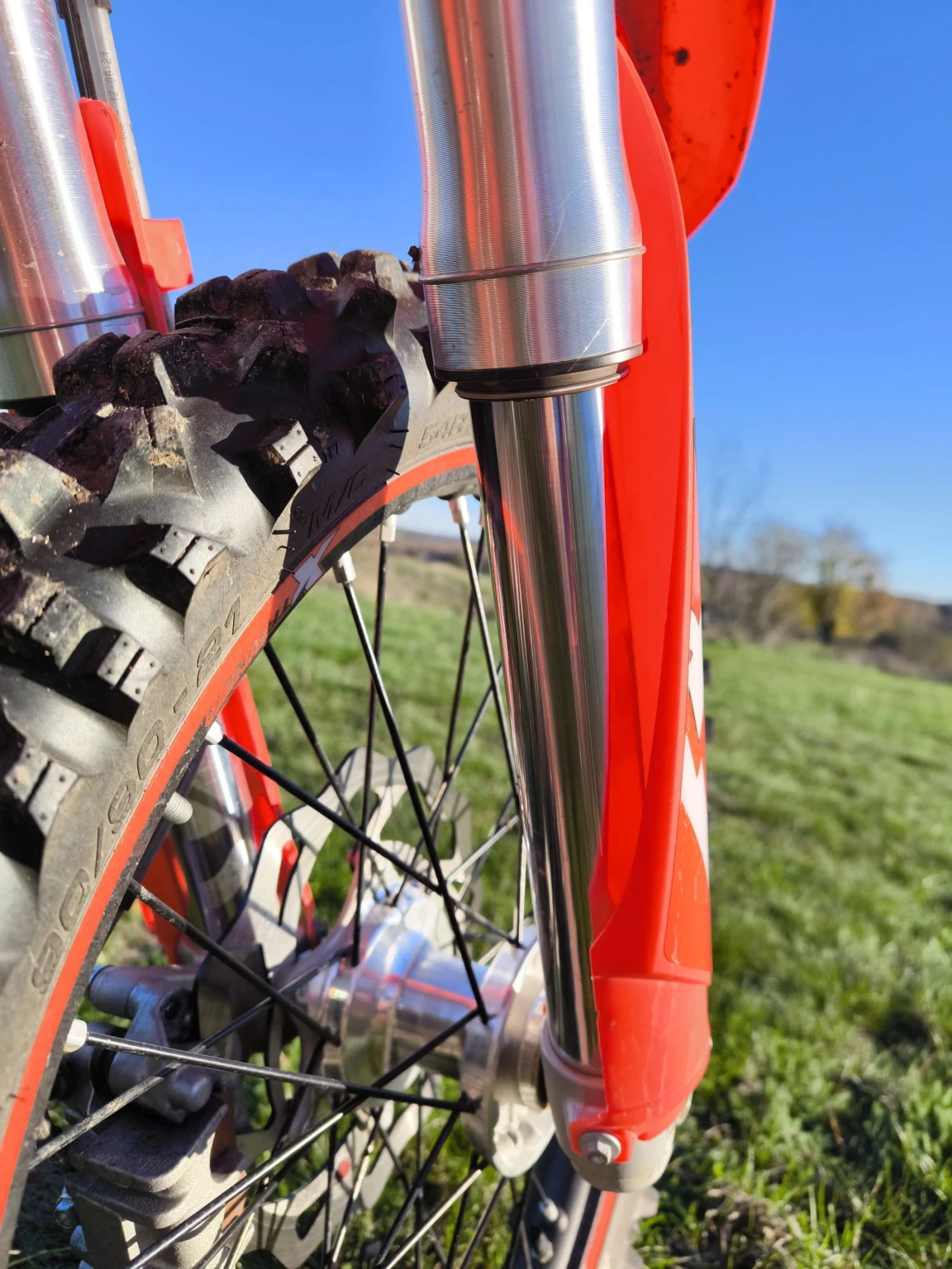 Beta Rr X-Trainer 300 | Mobile.bg � ����������� 7