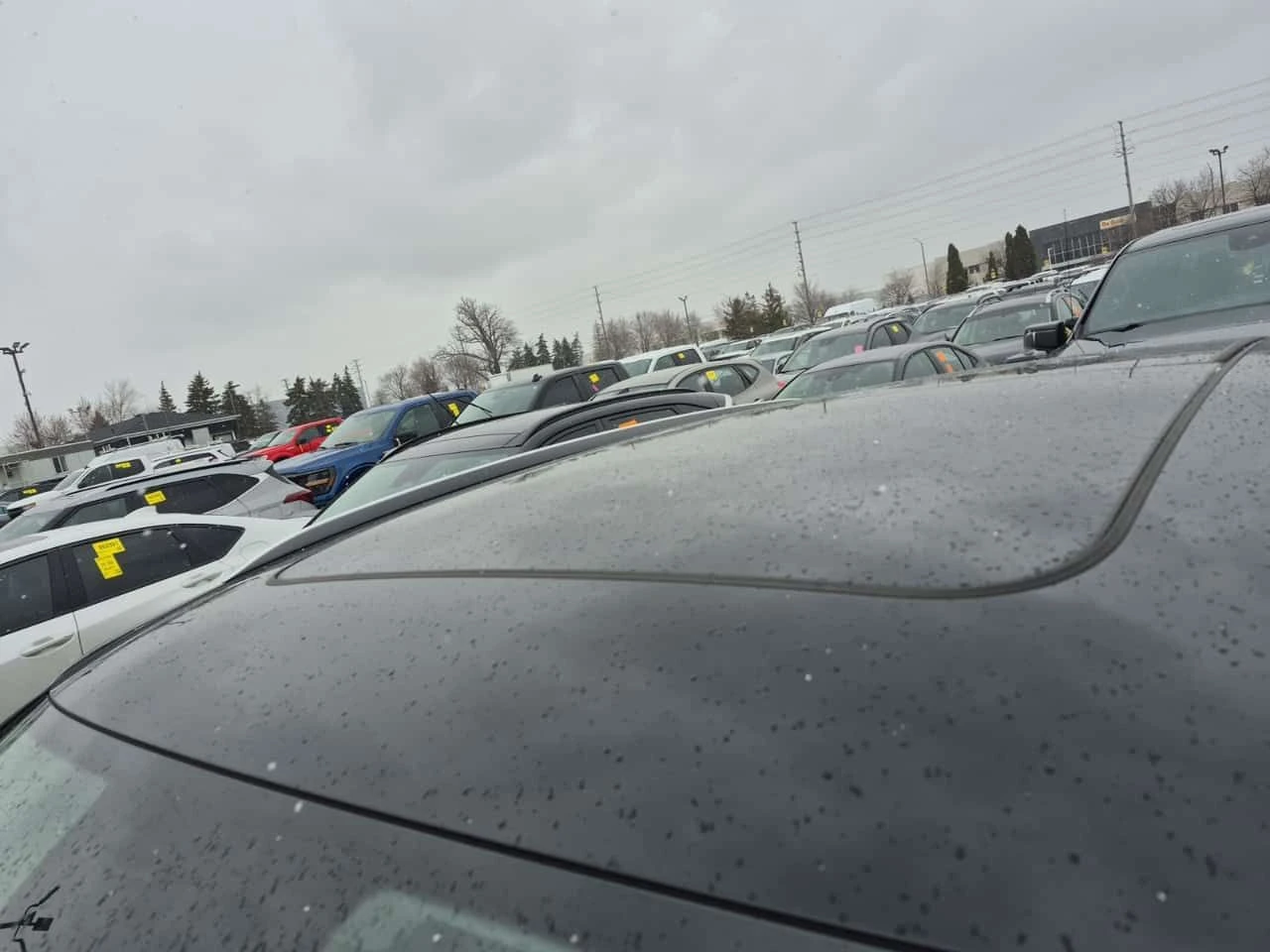 Audi Q5 * PREMIUM PLUS * CARFAX * 2 КЛЮЧА * ПАНО * ПОДГРЕВ, снимка 7 - Автомобили и джипове - 53954766