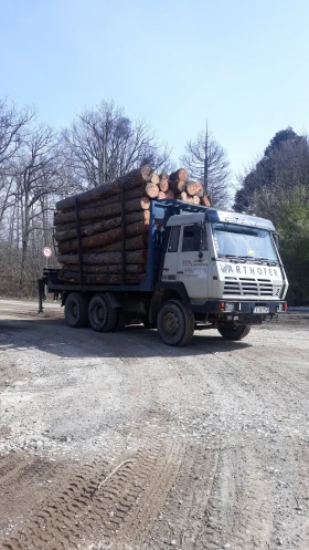 Steyr 33s37 32S36, снимка 5