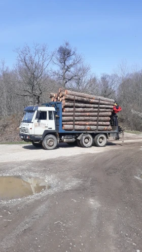 Steyr 33s37 32S36, снимка 6