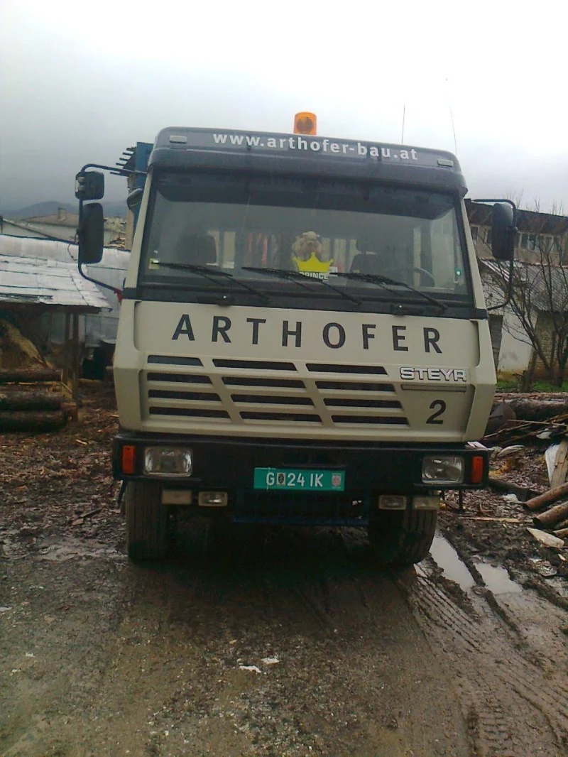 Steyr 33s37 32S36, снимка 2 - Камиони - 46946521