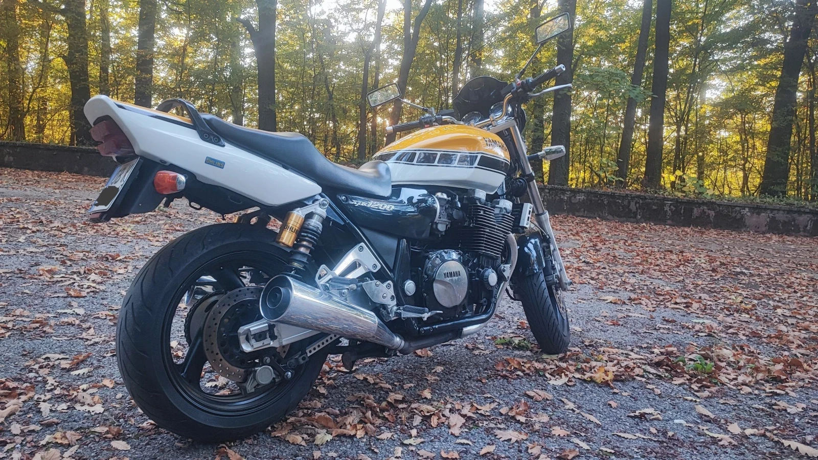 Yamaha XJR 1200 - изображение 7