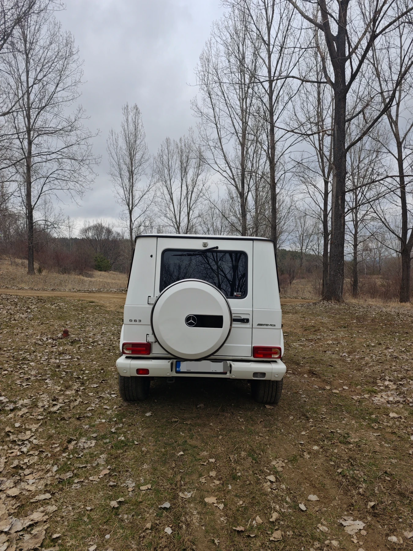 Mercedes-Benz G 55 AMG, снимка 5 - Автомобили и джипове - 53940905