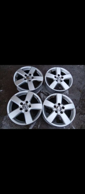 ������ ������