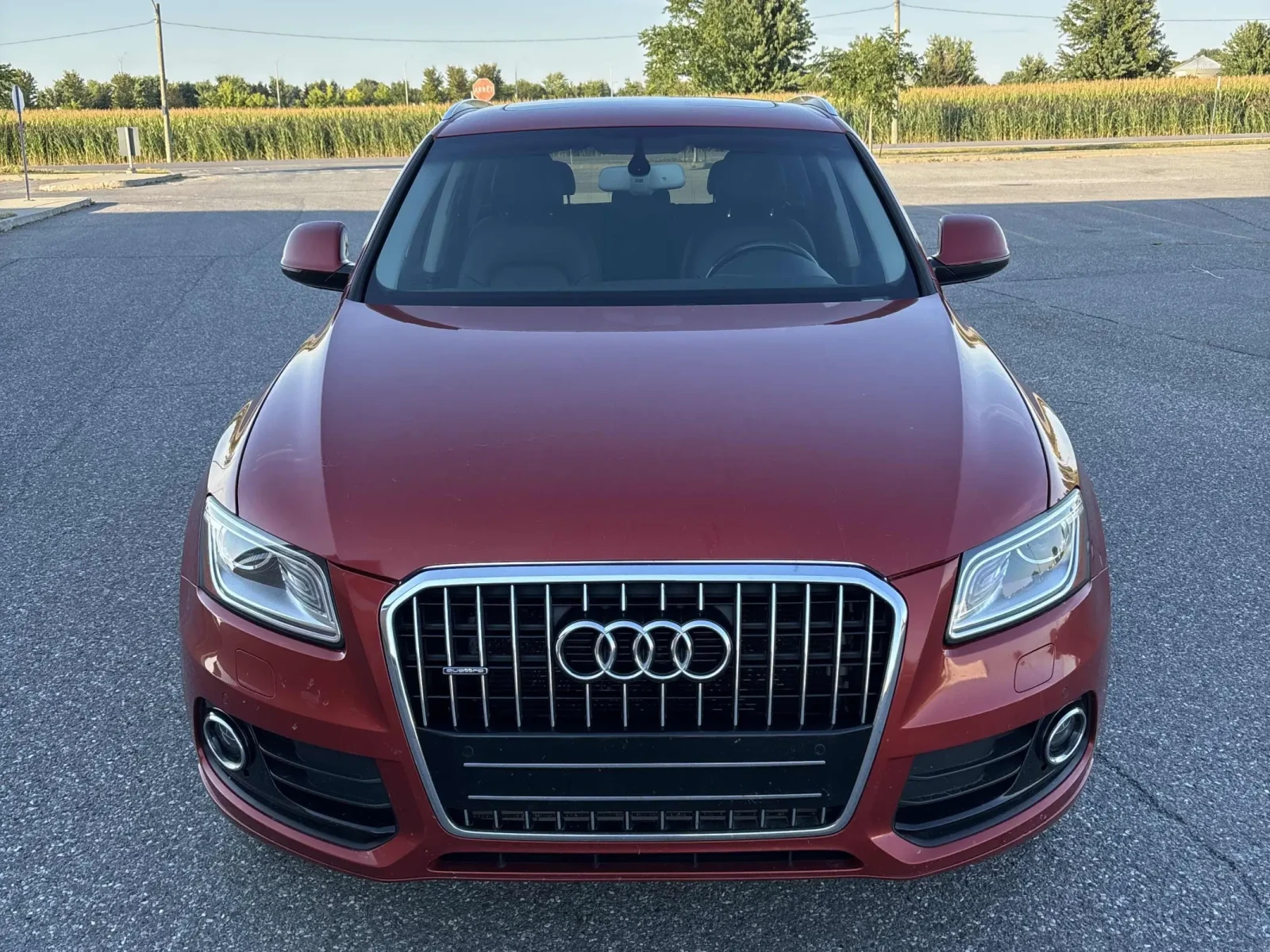Audi Q5 TECHNIK* CARFAX*  - изображение 2