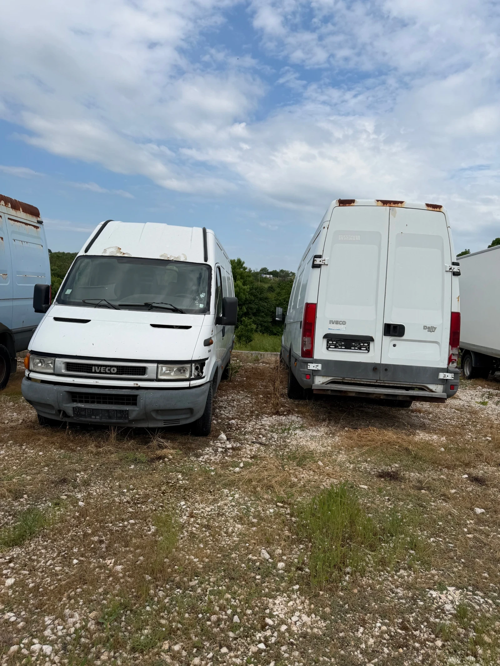 Iveco Daily