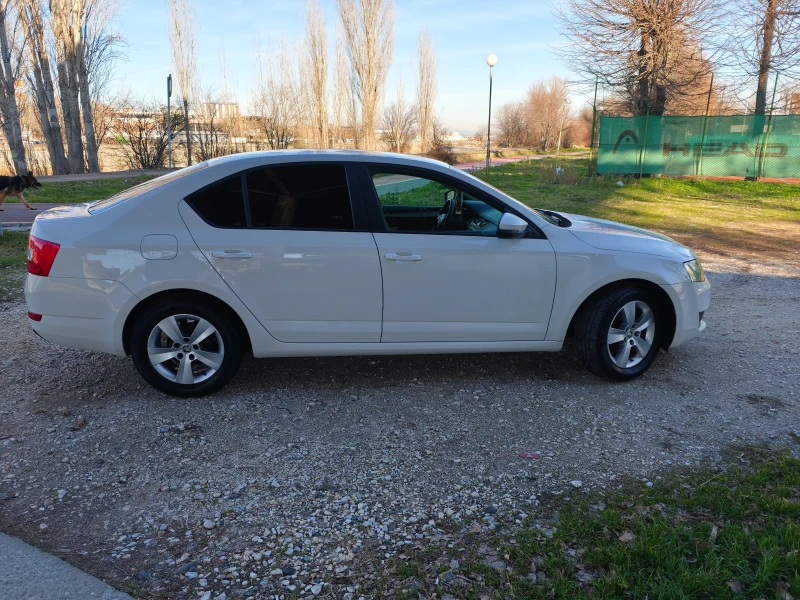 Skoda Octavia 1.6 TDI 90ks, снимка 4 - Автомобили и джипове - 53032678