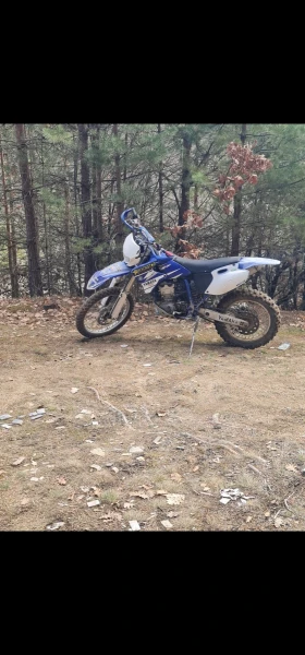     Yamaha Wr