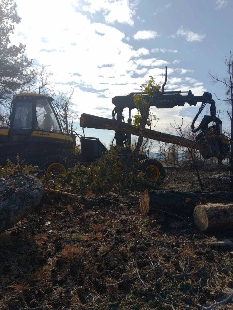Специализирани машини Машини за дърводобив, снимка 12 - Селскостопанска техника - 53305769