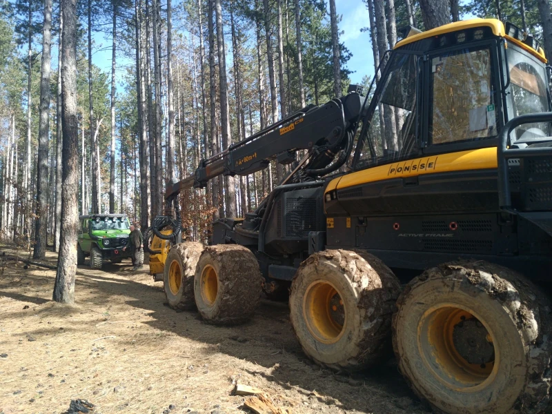 Специализирани машини Машини за дърводобив, снимка 5 - Селскостопанска техника - 53305769