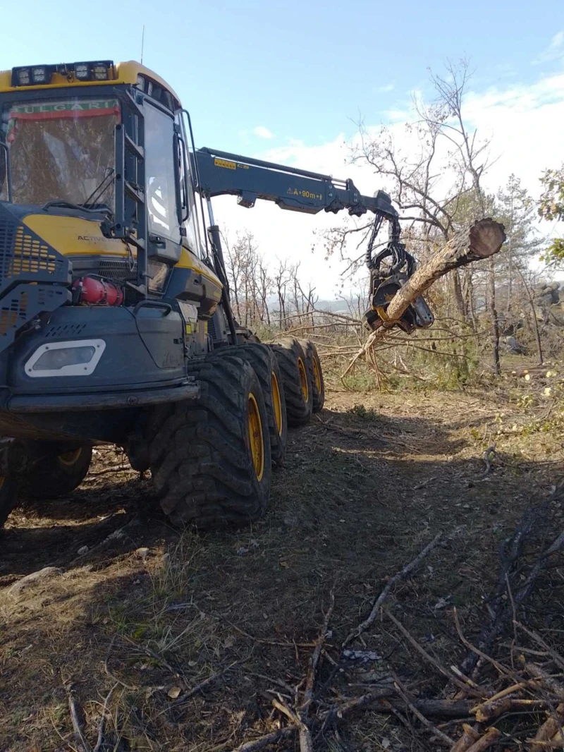 Специализирани машини Машини за дърводобив, снимка 11 - Селскостопанска техника - 53305769