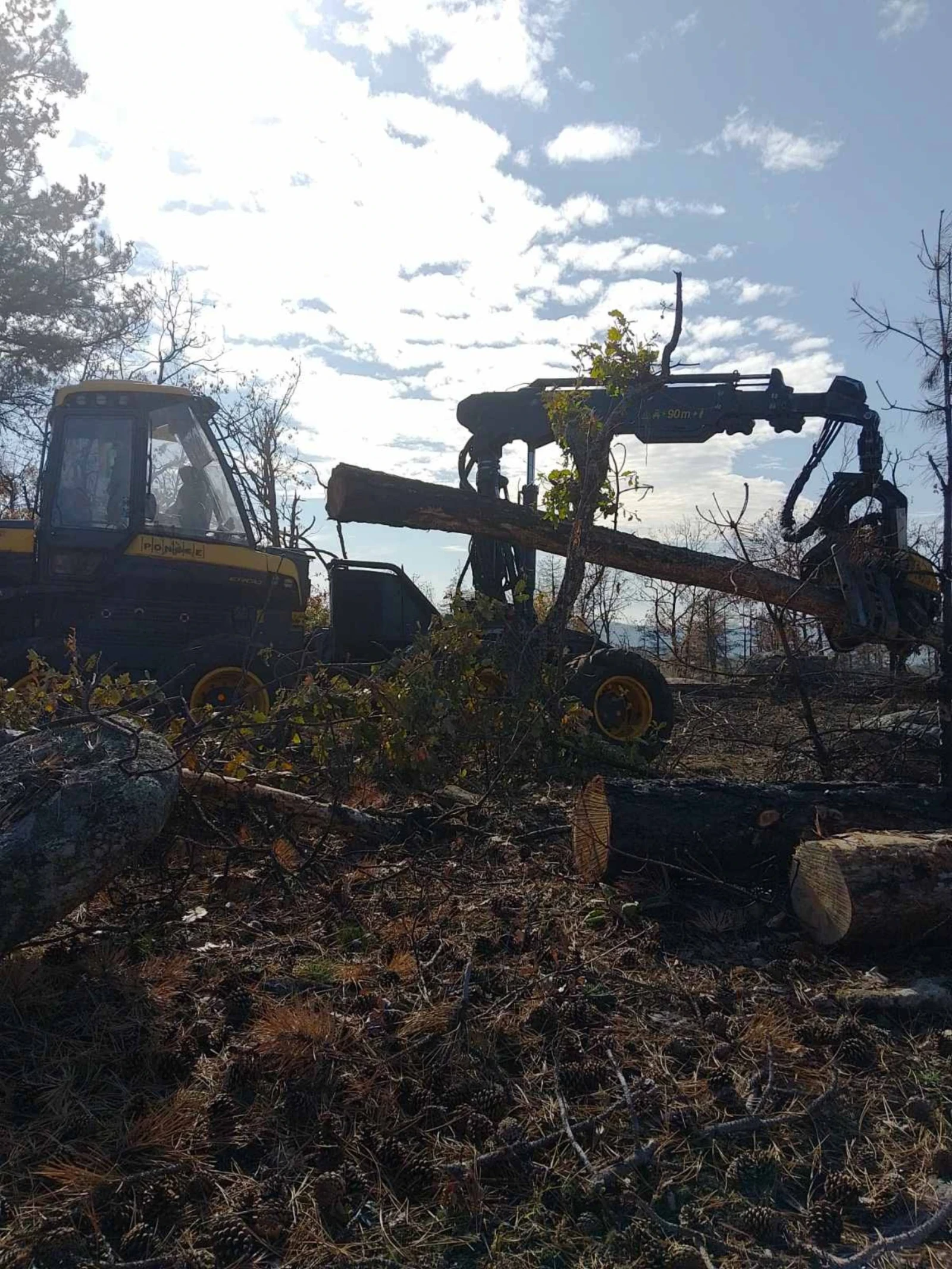 �������������� ������ ������ �� ���������� | Mobile.bg � ����������� 12