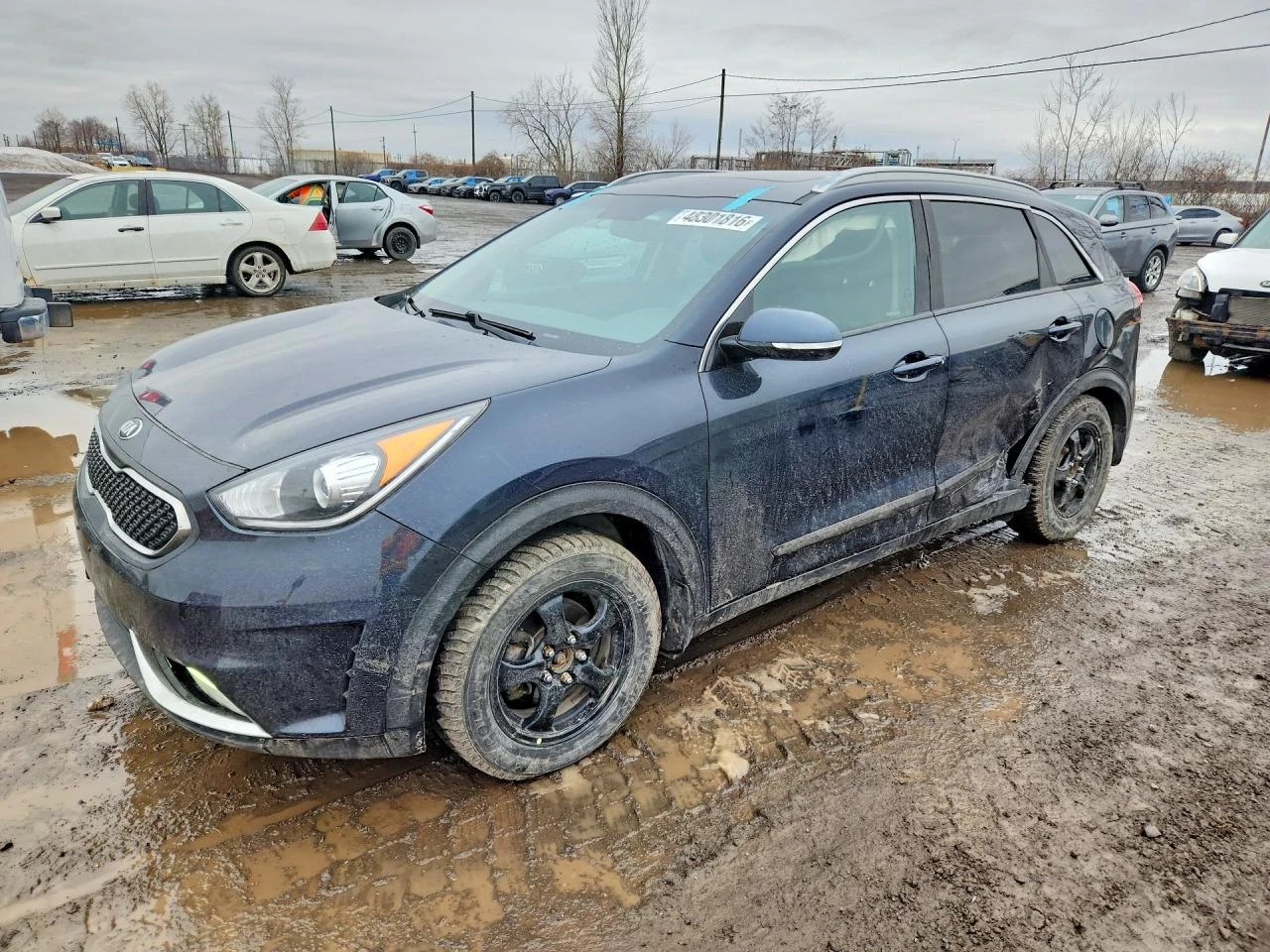 Kia Niro 1.6l Ex