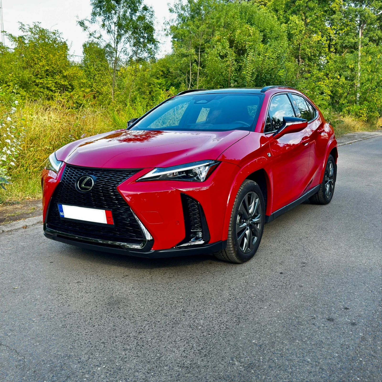 Lexus UX 300h F Sport Handling AWD