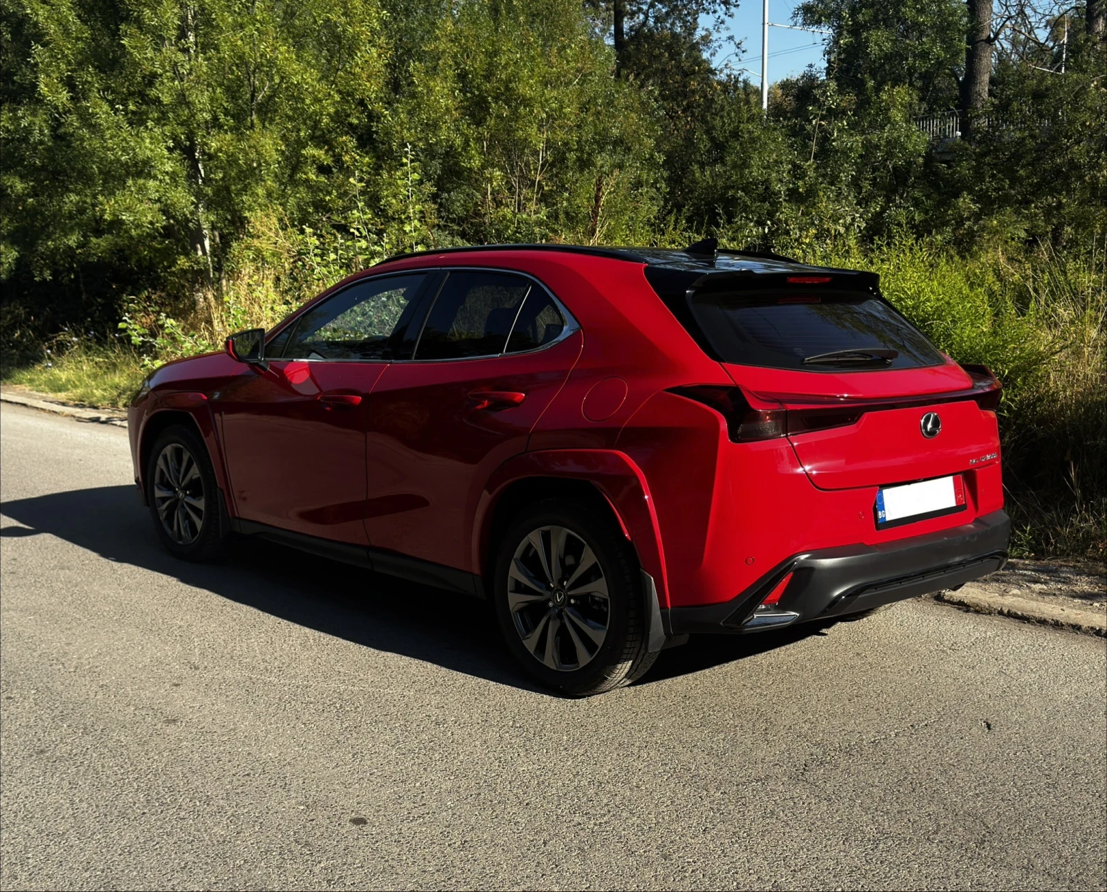Lexus UX 300h F-SPORT Handling AWD, снимка 5 - Автомобили и джипове - 55806232