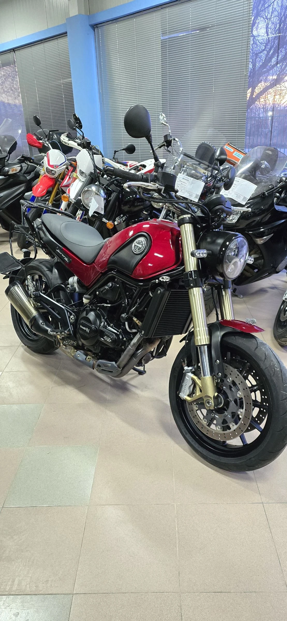 Benelli 500 Leonchino ABS ! ������ ! | Mobile.bg � ����������� 1