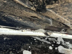 Audi A5  Technik /360/AMBIENT/B&O, снимка 14