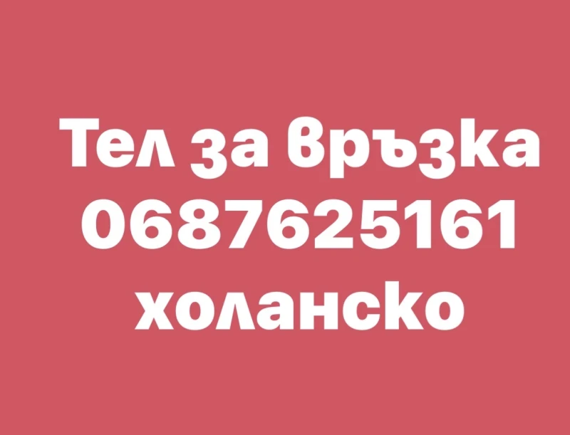 VW Passat, снимка 15 - Автомобили и джипове - 53583955